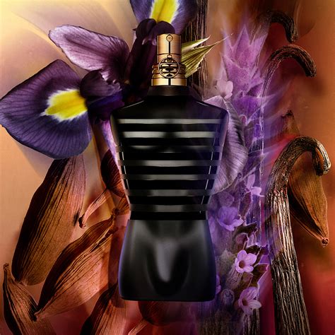 le male le parfum smell